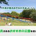 子供と遊べる、遊具があるおすすめの公園！～久留米市近辺～